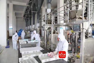 2019年濟寧市新舊動能轉(zhuǎn)換現(xiàn)場觀摩團走進嘉祥